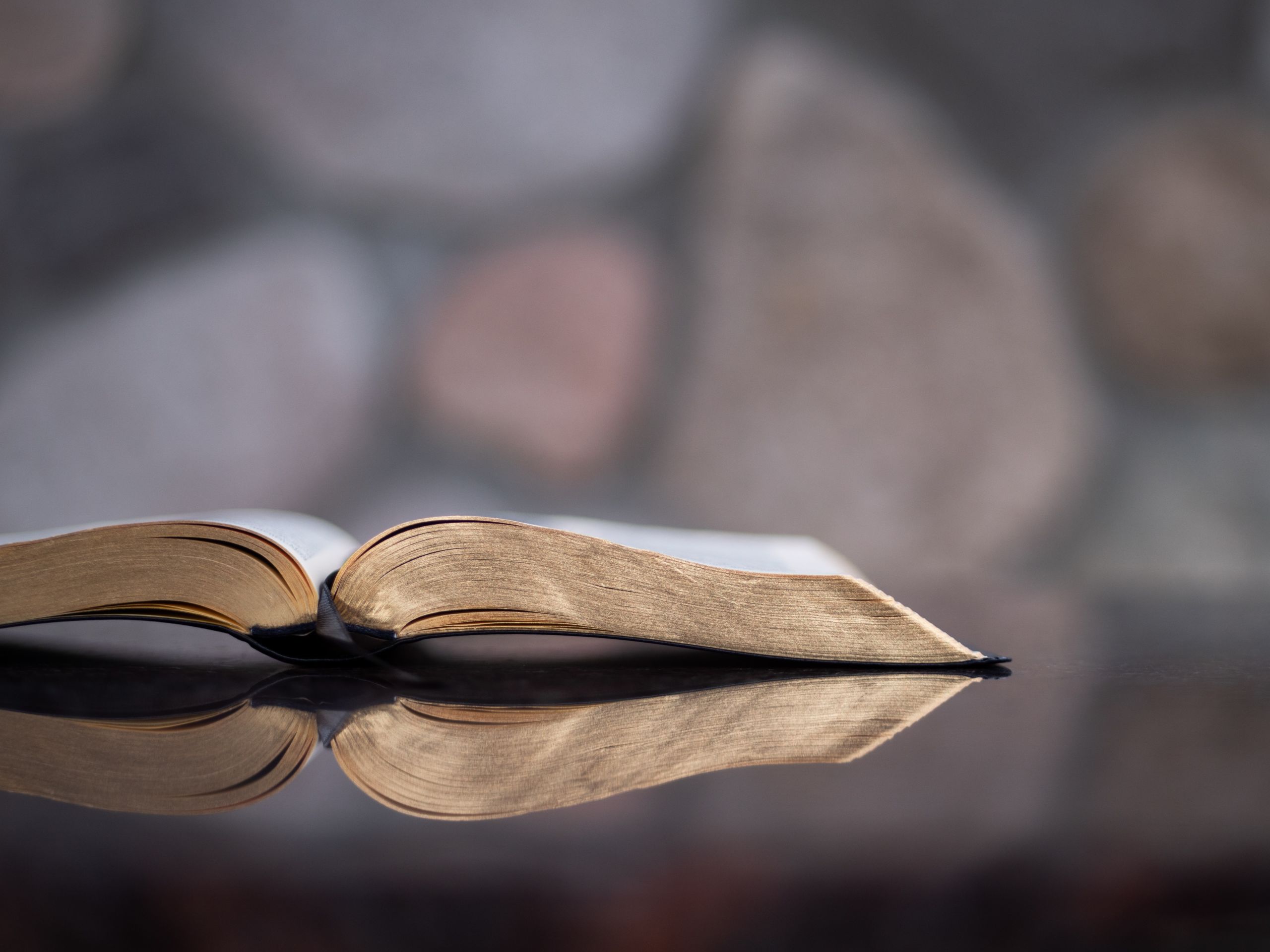 The sufferings of Job (part 1)