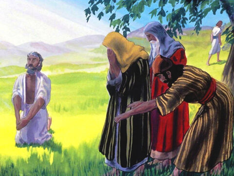 The sufferings of Job (part 2)
